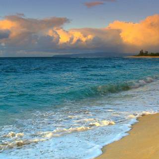 Pretty ocean pictures