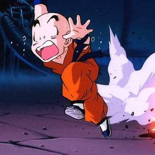 Krillin wallpaper