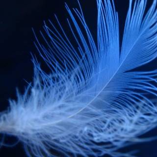 Neon computer backgrounds