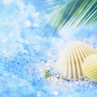 Summer backgrounds free
