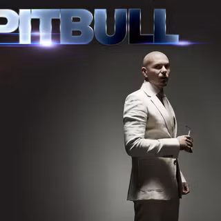 Pitbull wallpaper