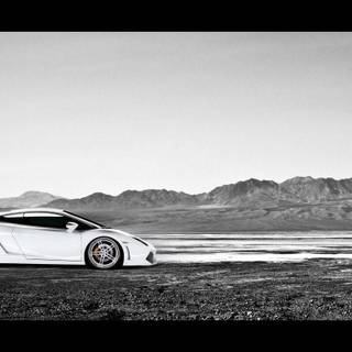 White lamborghini gallardo wallpaper