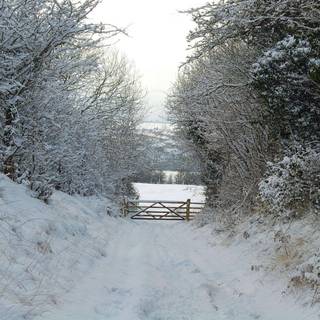 Wallpaper winter scenes