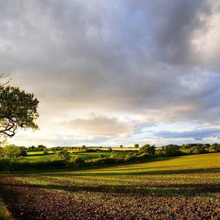 English countryside wallpaper