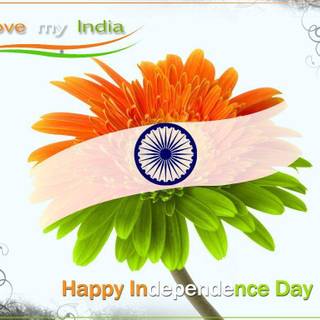 India flag wallpaper 2015