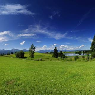 Green hills wallpaper