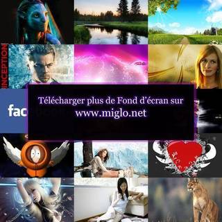 Dog desktop backgrounds