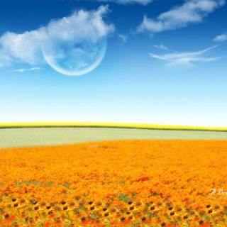 Sonakshi Sinha latest wallpaper