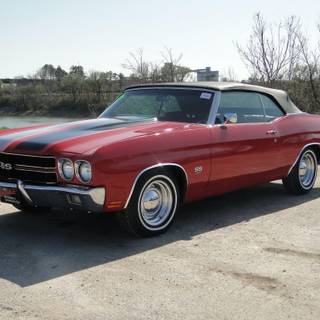 1970 chevelle pictures
