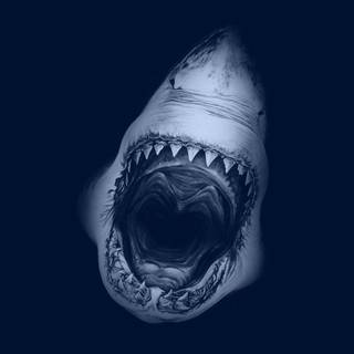 Great white wallpaper