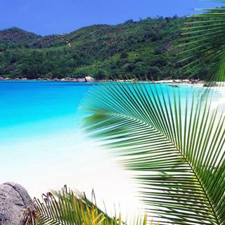 Seychelles wallpaper