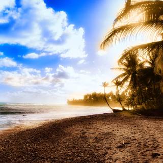 Sunny beach wallpaper