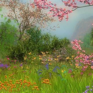 Cool nature wallpaper HD