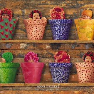 Anne Geddes wallpaper