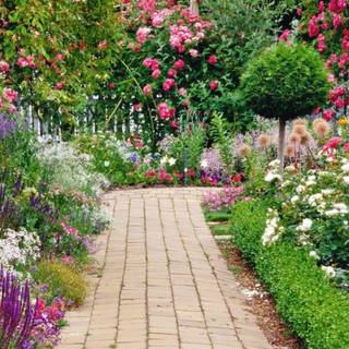 Flower garden background