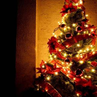 Christmas tree desktop background