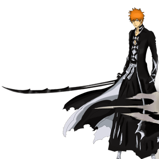 Ichigo bankai