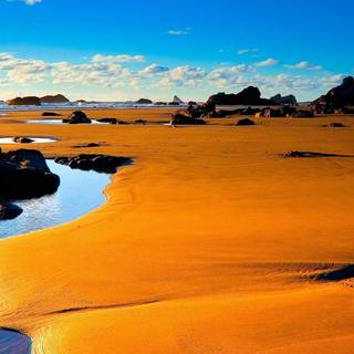 HD wallpaper widescreen 1920x1080