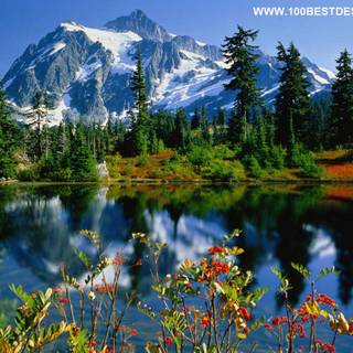 National geographic desktop backgrounds