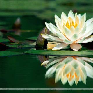 Nature wallpaper SantaBanta