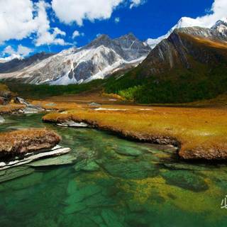 Best of Bing wallpaper