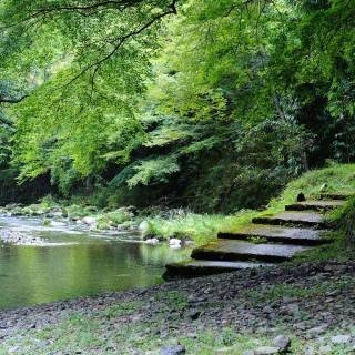 Beautiful wallpaper of nature