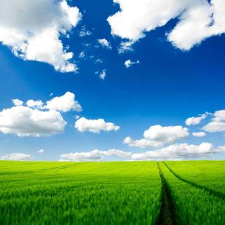 Wallpaper nature full size desktop 2016