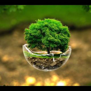 Wallpaper nature full size desktop 2016