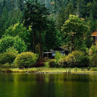 Wallpaper nature full size desktop 2016