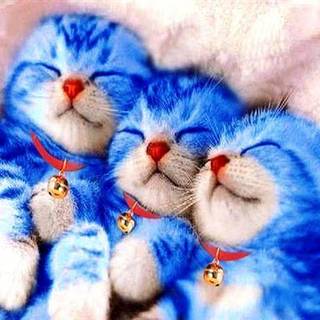 Doraemon 3D wallpaper 2016