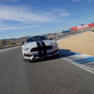 2016 Ford Mustang Shelby wallpaper