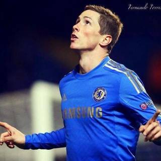 Torres Chelsea 2016 wallpaper