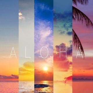 Summer 2016 wallpaper