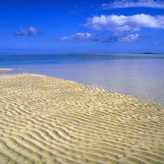 TROPICAL WALLPAPERS 2016