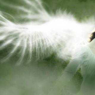 Yoona wallpaper 2016