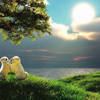 Nature wallpaper 2016