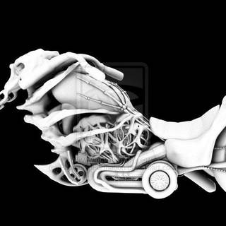 Ghost Rider wallpaper 2016