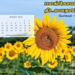 Desktop Wallpaper Calendar August 2016