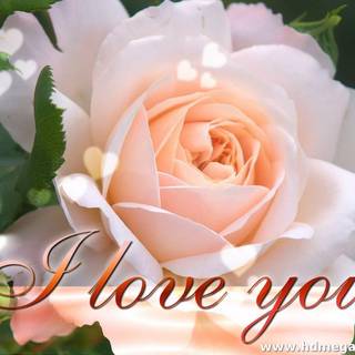 Mobile phone wallpaper love 2016