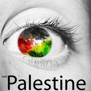 Save Palestine 2016 wallpaper