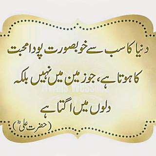 Funny wallpaper for facebook 2016