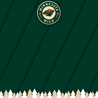 Minnesota wild wallpaper 2016