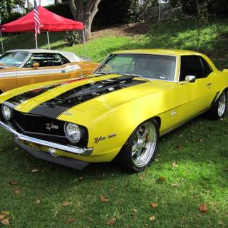 Bumblebee 2016 wallpaper HD