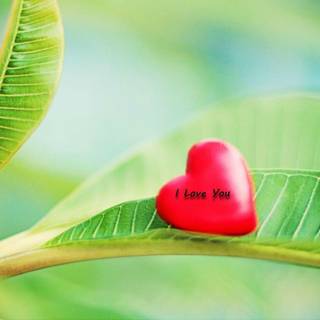 Love heart wallpaper 2016