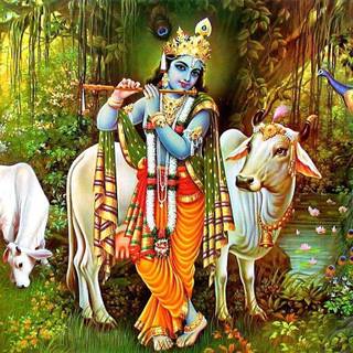 Lord krishna wallpaper 2016