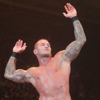 Randy orton wallpaper 2016