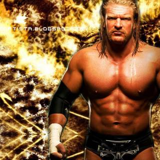 WWE Raw superstars 2016 wallpaper