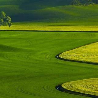 Latest nature wallpaper 2016 HD