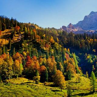 Latest nature wallpaper 2016 HD