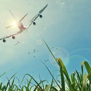 HD NATUREwallpaper 2016